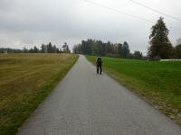 Wanderroute auf dem Güterweg Hirschenwies