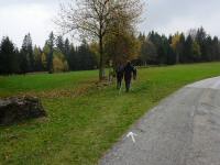  Wanderroute zum Nebelstein 