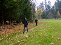 Wanderroute zum Nebelstein 