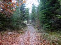  Wanderroute zum Nebelstein 