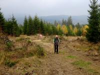  Wanderroute zum Nebelstein 