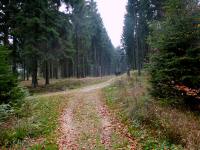  Wanderroute zum Nebelstein 