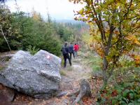 Blick auf die Wanderstrecke bergab vom Nebelstein
