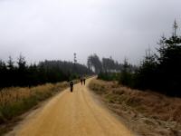 Wanderroute durch das große Waldgebiet der Zeiler Berge