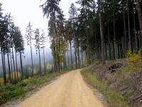 Wanderroute durch das große Waldgebiet der Zeiler Berge
