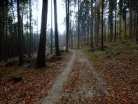 Wanderroute durch das große Waldgebiet der Zeiler Berge