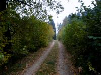  Wanderroute zu der L8293 