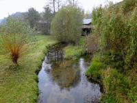 Blick auf die Lainsitz bei der Stegmühle in Harmanschlag