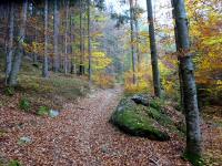  Blick auf die Wanderstrecke 