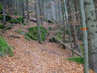  Blick auf die Wanderstrecke 
