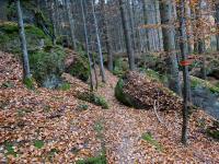  Blick auf die Wanderstrecke 
