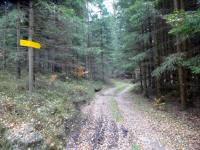  Wanderroute zur Gmünder Straße (B41) 