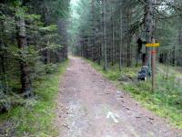 Wanderroute zur Streusiedlung Reichenau am Freiwald