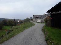 Blick auf die Wanderstrecke in Reichenau am Freiwald 