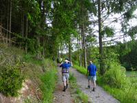  Blick auf die Wanderstrecke am Rabenberg 