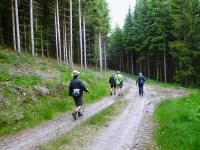  Blick auf die Wanderstrecke am Rabenberg 