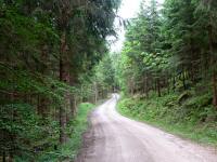 Blick auf die Wanderstrecke am Rabenberg 