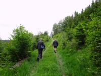 Blick auf die Wanderstrecke am Rabenberg 