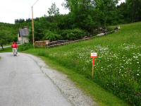 Blick zur 1. Streckenteilung bei der K+L In Reitern 