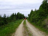  Blick auf die Wanderstrecke am Rabenberg 