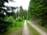  Blick auf die Wanderstrecke entlang des Hammerschmiedbergs 