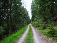  Blick auf die Wanderstrecke entlang des Hammerschmiedbergs 