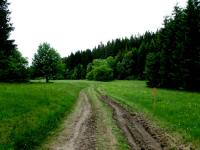  Blick auf die Wanderstrecke im Reiternbachtal 