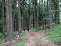  Blick auf die Wanderstrecke 