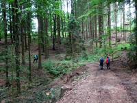  Blick auf die Wanderstrecke 