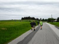  Wanderroute kurz auf der L1479 