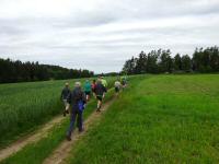  Blick auf die Wanderstrecke Richtung Freudenthal 