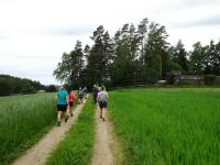 Blick auf die Wanderstrecke in der Nähe von Freudenthal 