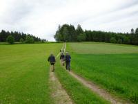  Blick auf die Wanderstrecke 