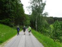 Blick auf die Wanderstrecke in der Nähe von Rehberg 