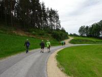  Blick auf die Wanderstrecke in der Nähe von Rehberg 