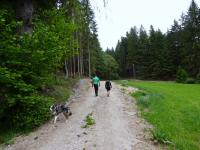  Blick auf die Wanderstrecke 