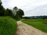  Blick auf die Wanderstrecke 