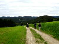  Blick auf die Wanderstrecke 