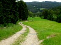  Blick auf die Wanderstrecke 