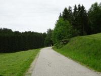 Blick auf die Wanderstrecke Richtung Straßreit 