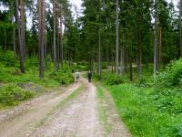  Blick auf die Wanderstrecke 