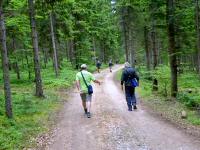  Blick auf die Wanderstrecke 