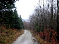 Blick auf die Wanderstrecke 