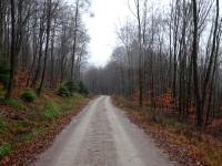  Blick auf die Wanderstrecke 