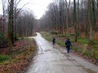  Blick auf die Wanderstrecke 