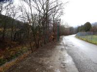 Blick auf die Wanderstrecke entlang der "Reichen Liesing" 