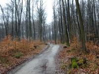  Blick auf die Wanderstrecke zur Wiener Htte 