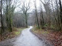  Blick auf die Wanderstrecke 
