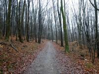  Blick auf die Wanderstrecke 