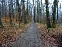  Blick auf die Wanderstrecke 
